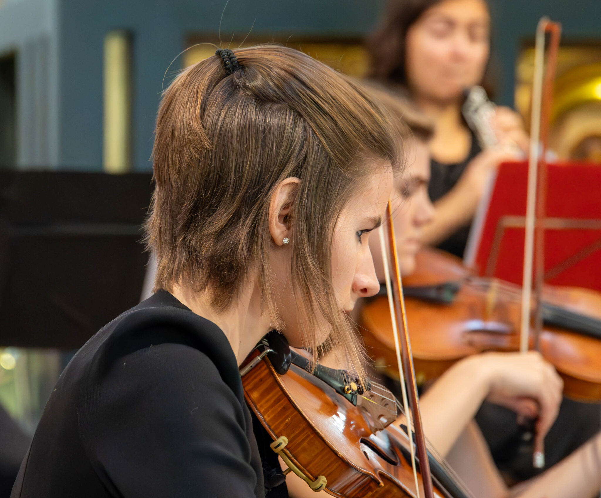 _DSC0501-Avec accentuation-Bruit (1)